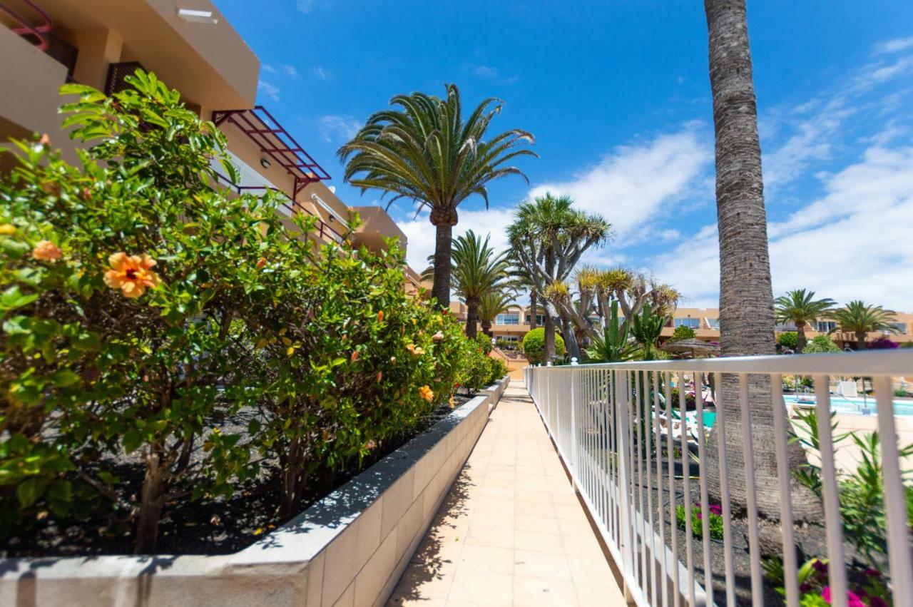 PoolViewZen Appartement Corralejo Buitenkant foto