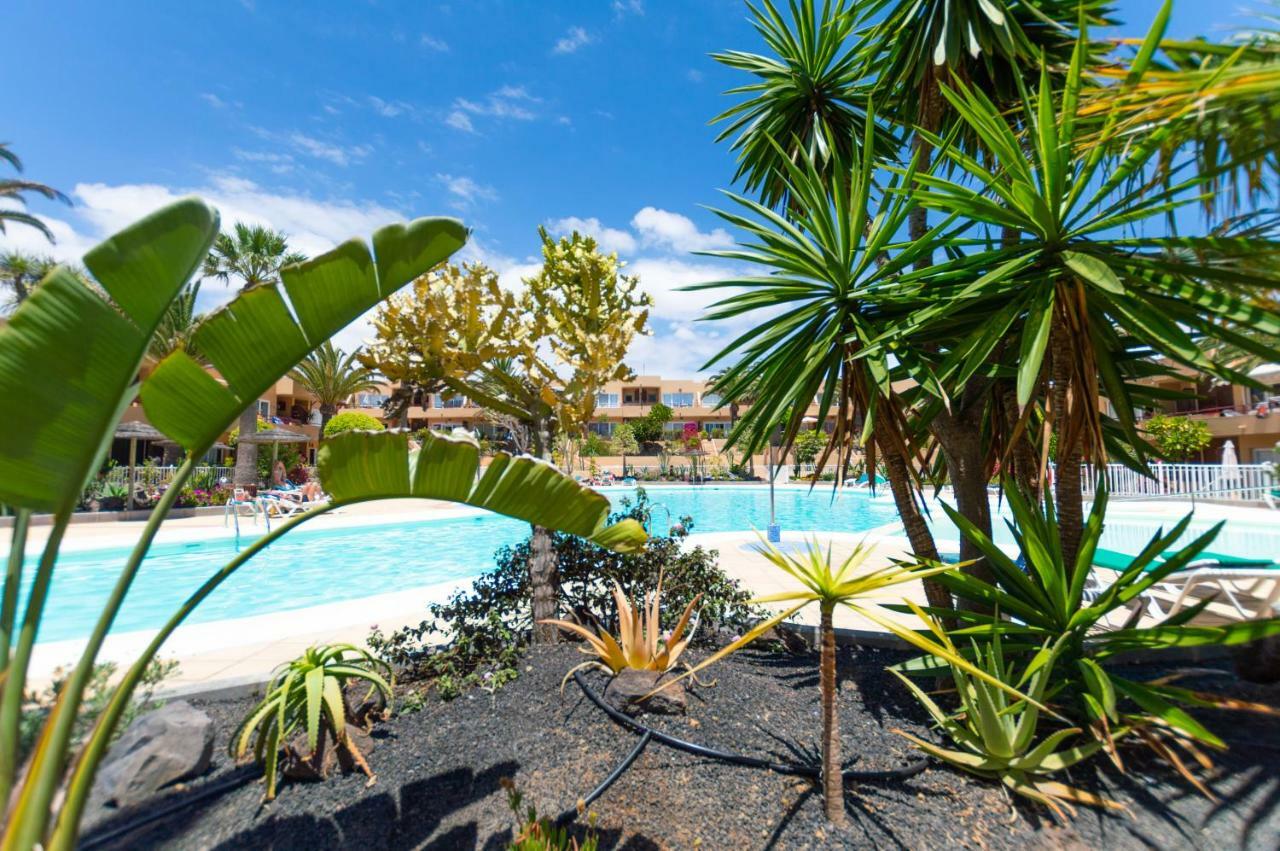 PoolViewZen Appartement Corralejo Buitenkant foto