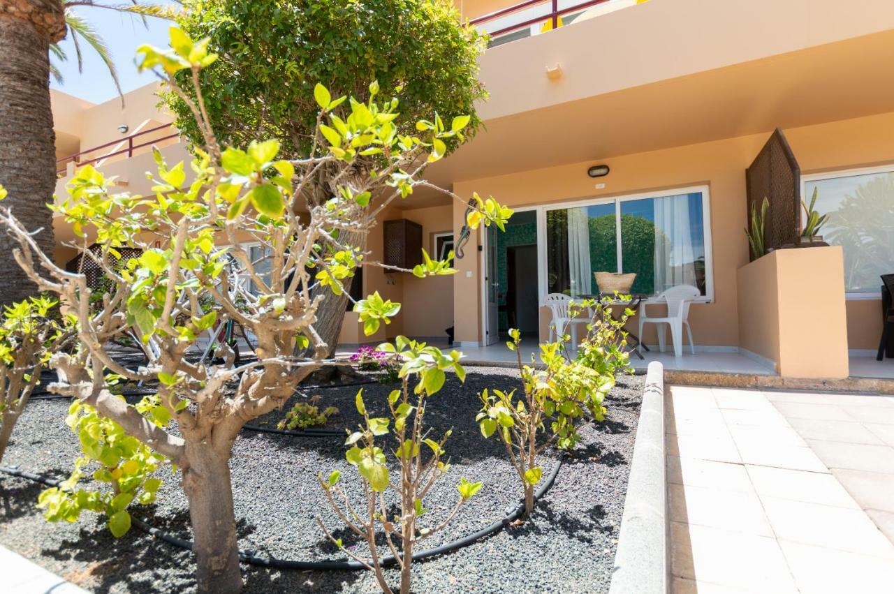 PoolViewZen Appartement Corralejo Buitenkant foto